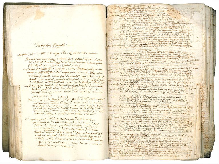 Repertorium seu Index Instrumentorum omnium registratorum in [...] seu Libri …
