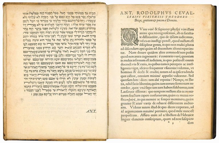 Rudimenta Hebraicae linguae, accurata methodo et brevitate conscripta. Eorundem rudimentorum …
