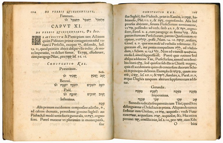 Rudimenta Hebraicae linguae, accurata methodo et brevitate conscripta. Eorundem rudimentorum …