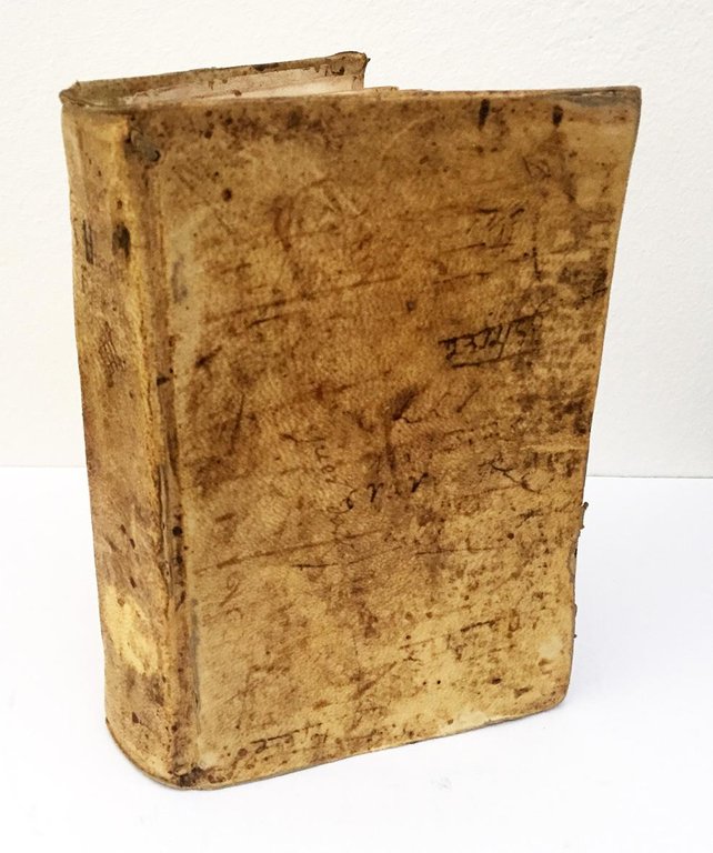 S. Hieronymi presbyteri epistolae selectae in tres libros novo ordine …