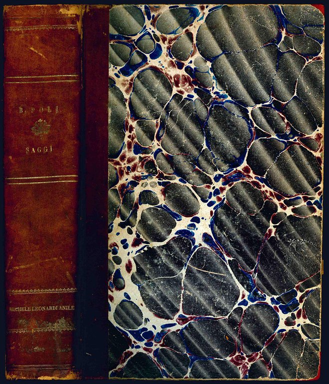 Saggi di scienza politico-legale del dottore Baldassare Poli professore di …