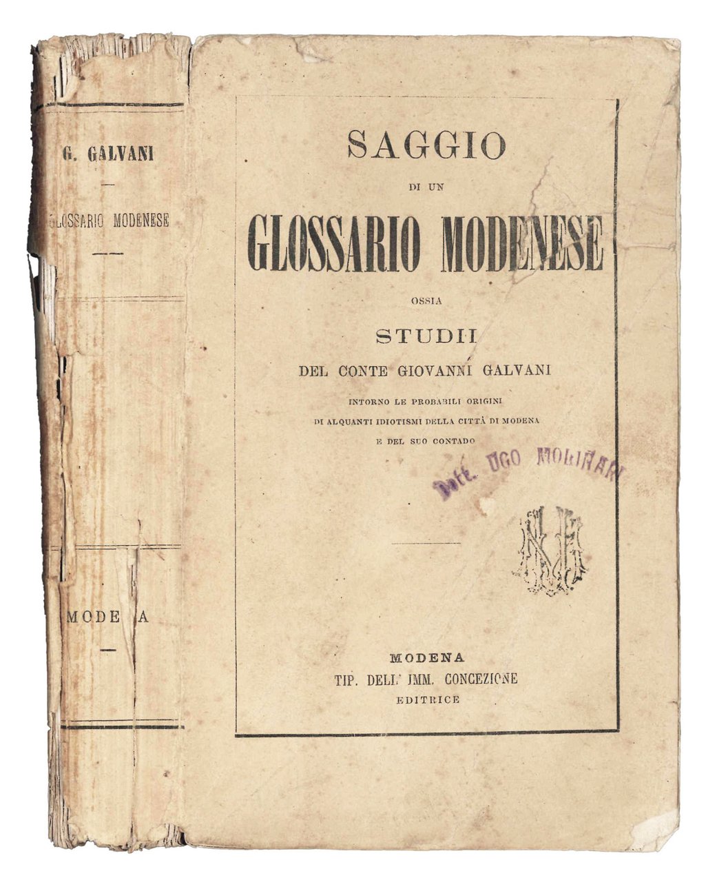 Saggio di un glossario modenese, ossia Studii del conte Giovanni … | Immagine principale