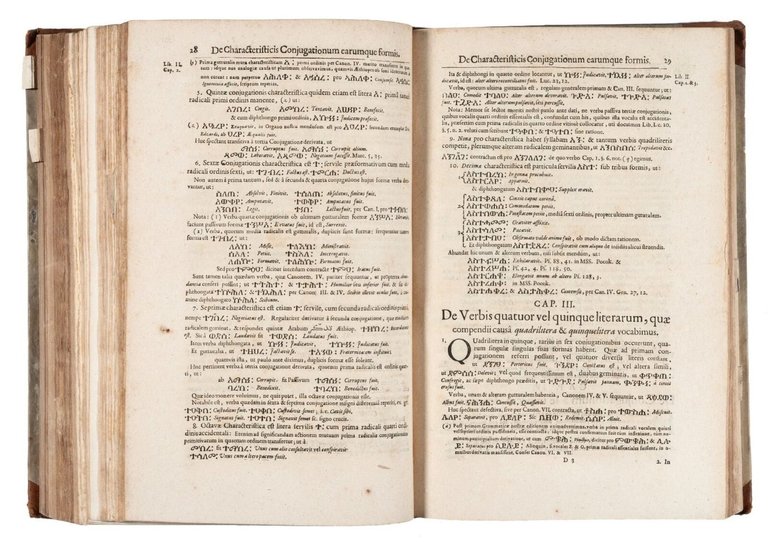 Sammelband of 6 works in first and second edition