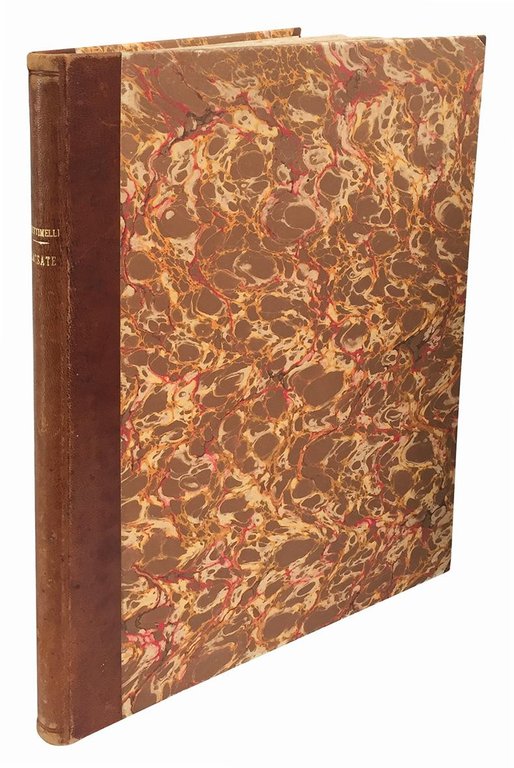 Sassate. Antilibro con 100 disegni di Musacchio.