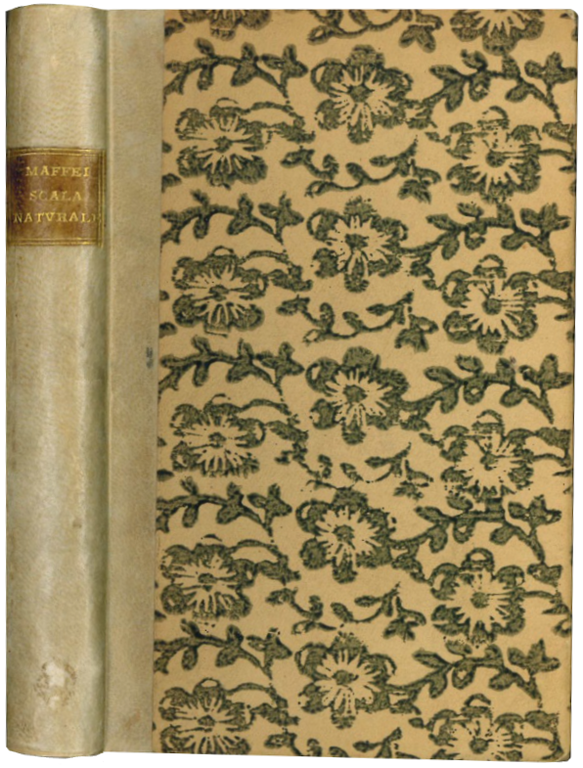 Scala naturale, overo fantasia dolcissima di Gio. Camillo Maffei da …