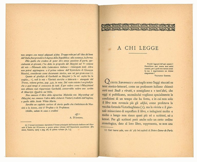 Scaramucce e avvisaglie: saggi storici e letterari di un bibliofilo: …