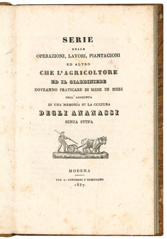 Serie delle operazioni, lavori, piantagioni ed altro che l'agricoltore ed … | Immagine Gallery 1