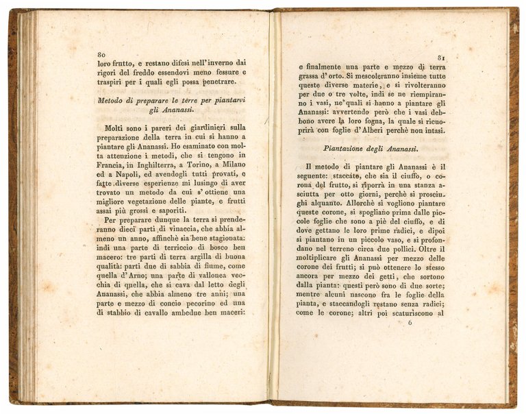 Serie delle operazioni, lavori, piantagioni ed altro che l'agricoltore ed …