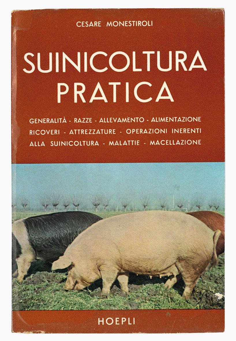 Suinicoltura pratica: generalita, razze, allevamento, alimentazione, ricoveri, attrezzature, operazioni inerenti …