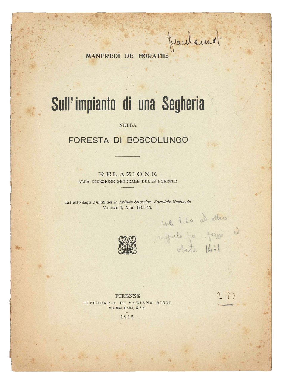 Sull'impianto di una Segheria nella foresta di Boscolungo. | Immagine principale