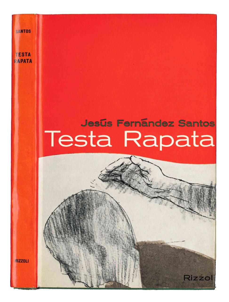 Testa rapata. | Immagine principale