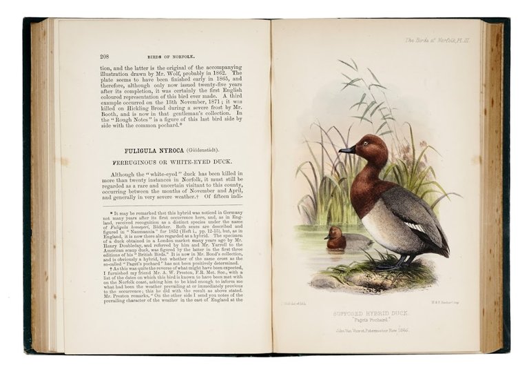 The birds of Norfolk with remarks on their habits, migration …