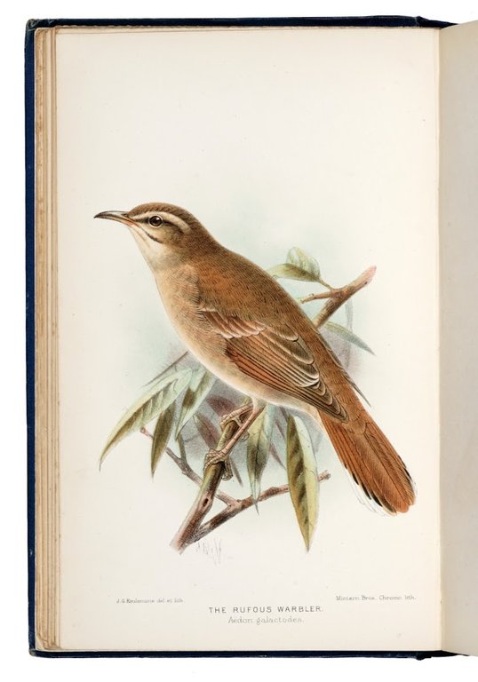 The Birds of Sussex. [Illustrated by J.G. Keulemans]