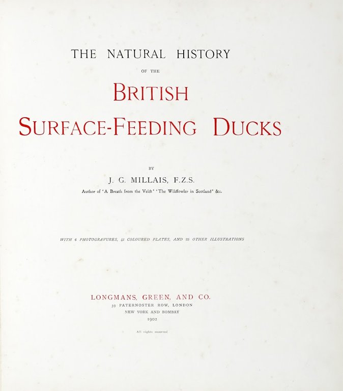 The Natural History of the British Surface-Feeding Ducks [Illustrated by …