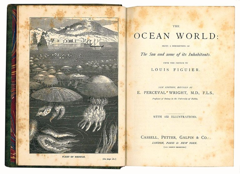 The ocean world: being a description of The sea and …