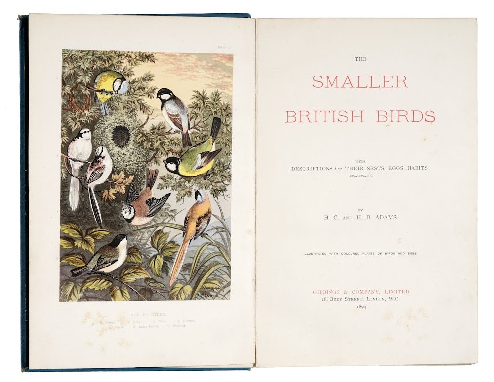 The Smaller British Birds