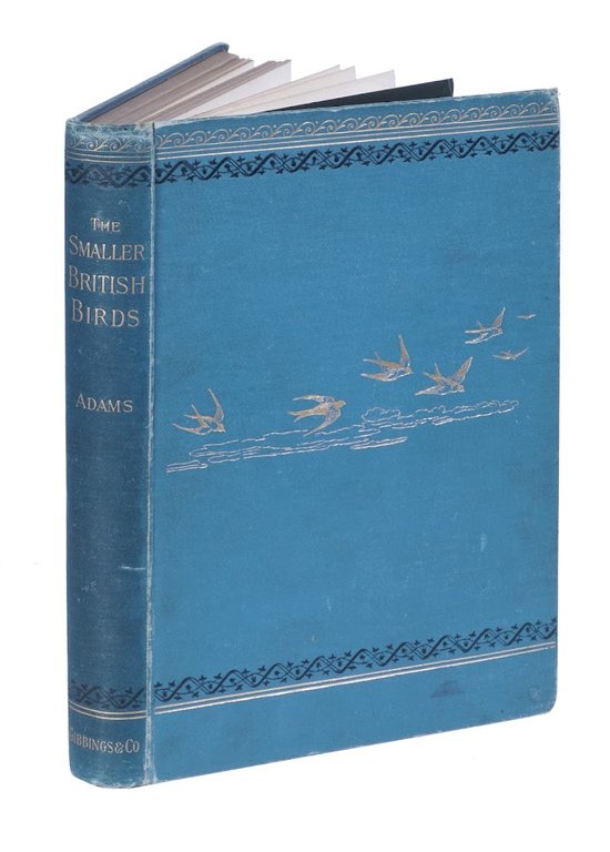The Smaller British Birds