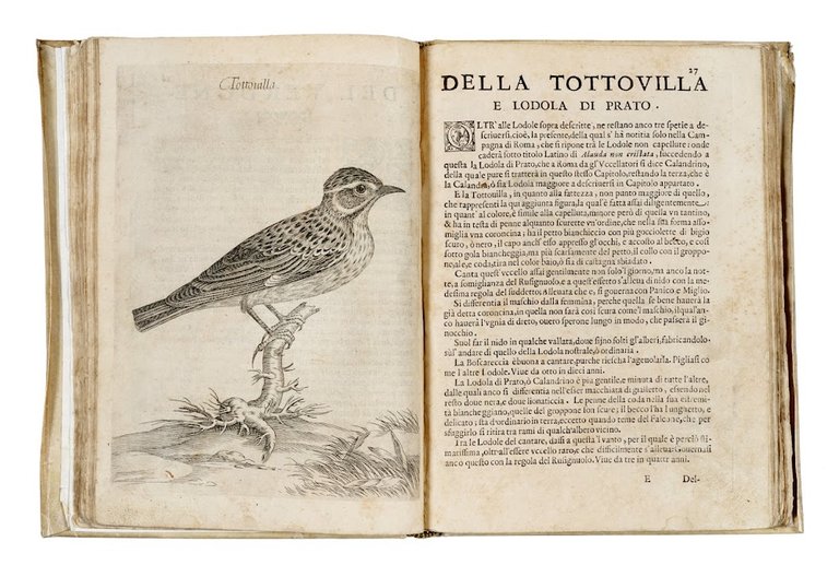 Uccelliera overo discorso della natura, e proprietà di diversi uccelli …