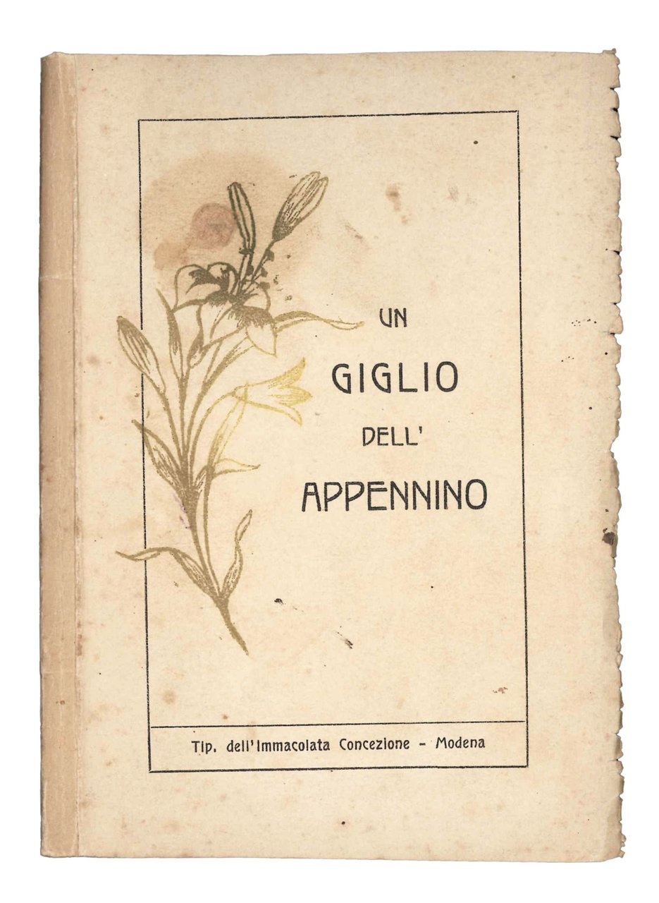 Un giglio dell'Appennino. Breve biografia del giovanetto Igino Bazzani (1903-1919). | Immagine principale