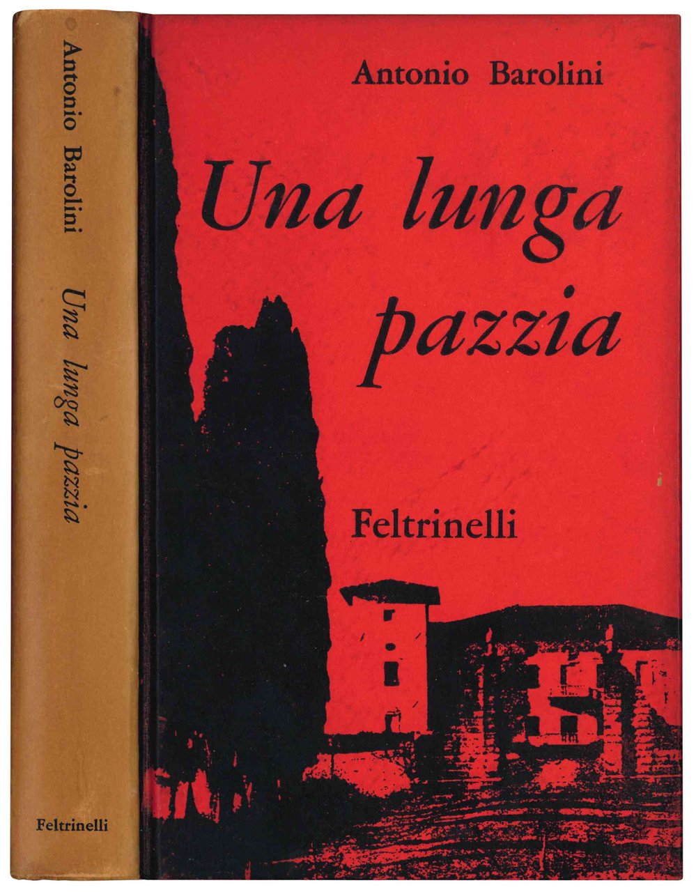 Una lunga pazzia. | Immagine principale
