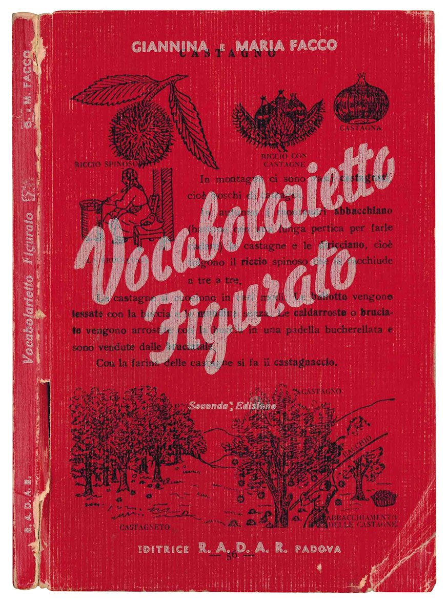 Vocabolarietto figurato. Illustrazioni di Emilio Nardo. Seconda edizione. | Immagine principale
