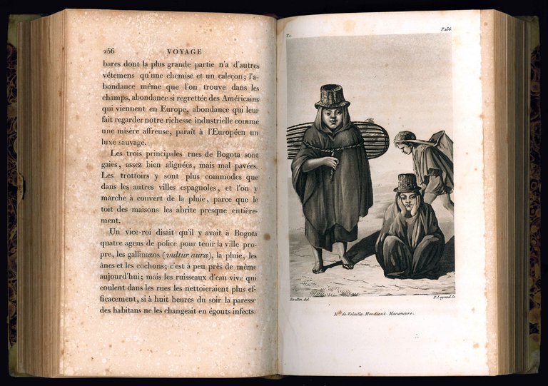 Voyage Dans la République de Colombia, en 1823