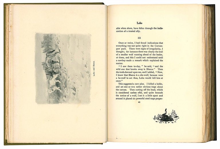 Wild animals i have known and 200 drawings, by Ernest …