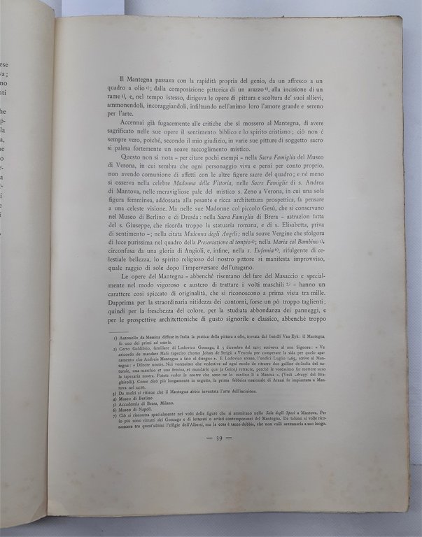 Vittorio Matteucci Le chiese artistiche del Mantovano Segna editori 1902
