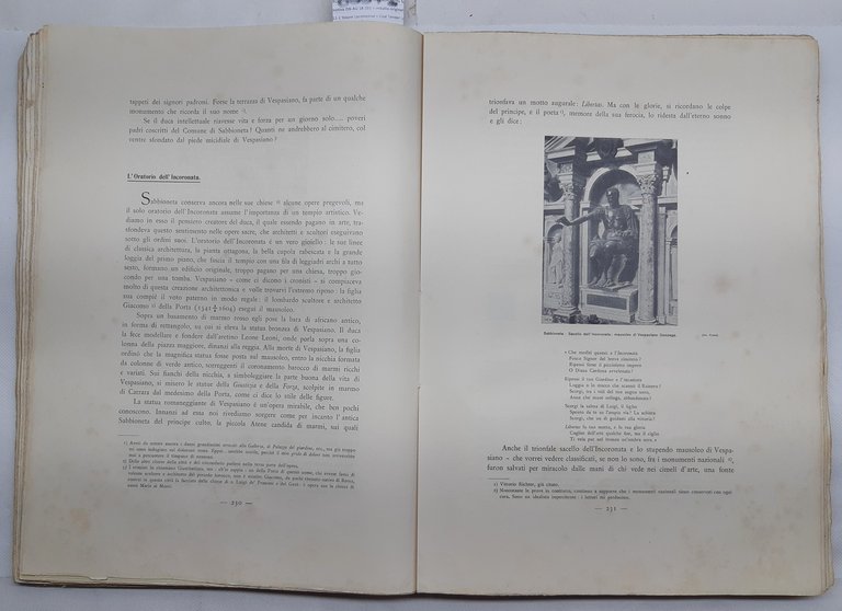 Vittorio Matteucci Le chiese artistiche del Mantovano Segna editori 1902
