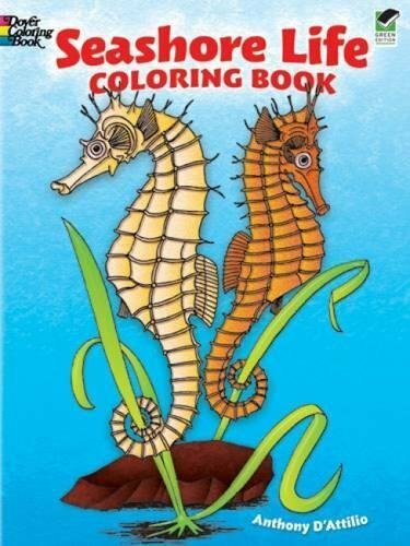 Seashore Life Coloring Book | Immagine Gallery 1
