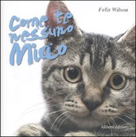 Come Te Nessuno Miao, Reggio Emilia, Aliberti Edizioni, 2009