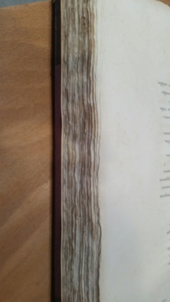 La Gerusalemme Liberata