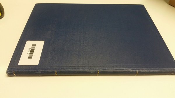 Statuti municipali del Comune di Trieste che portano in fronte …