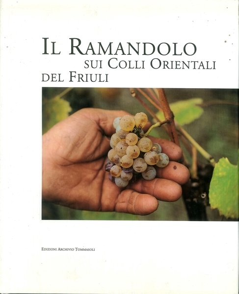 Il ramandolo sui colli orientali del Friuli, Verona, Archivio Tommasoli, …