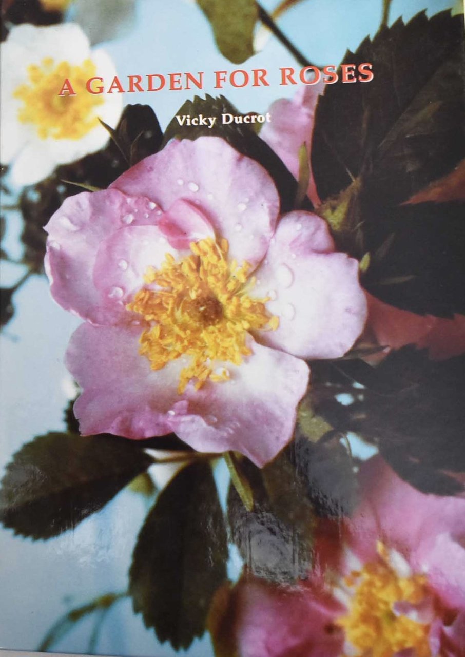 A garden for roses | Immagine principale