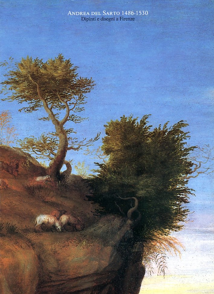 Andrea del Sarto, 1486-1530. Dipinti e disegni a Firenze