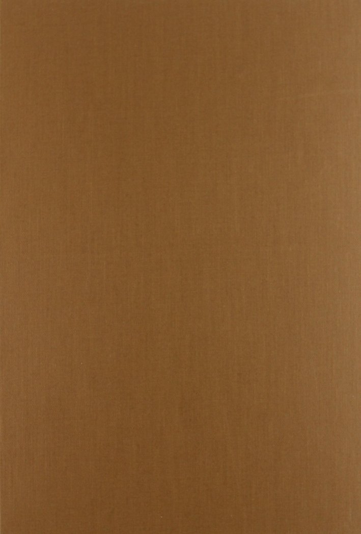 Annali degli Abruzzi dalle origini all'anno 1777. Vol. 1 | Immagine principale