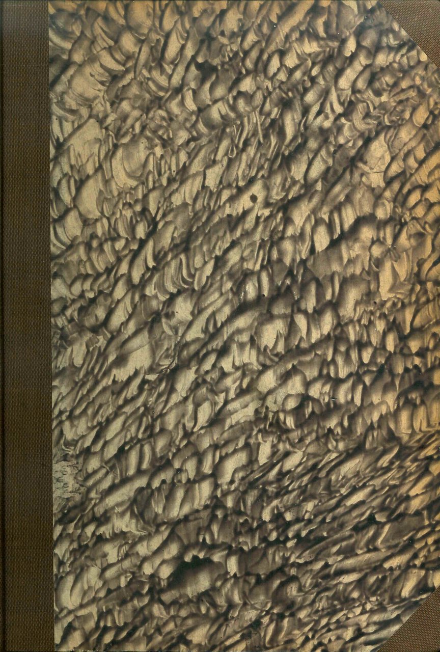 Atti della Reale Accademia dei Lincei. Rendiconti, classe di scienze … | Immagine principale