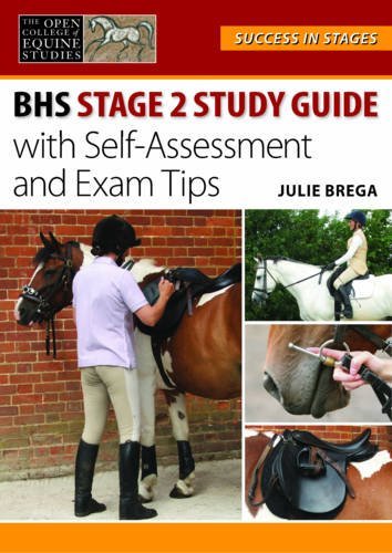 Bhs Stage 2 Study Guide (Success in Stages Series) | Immagine principale