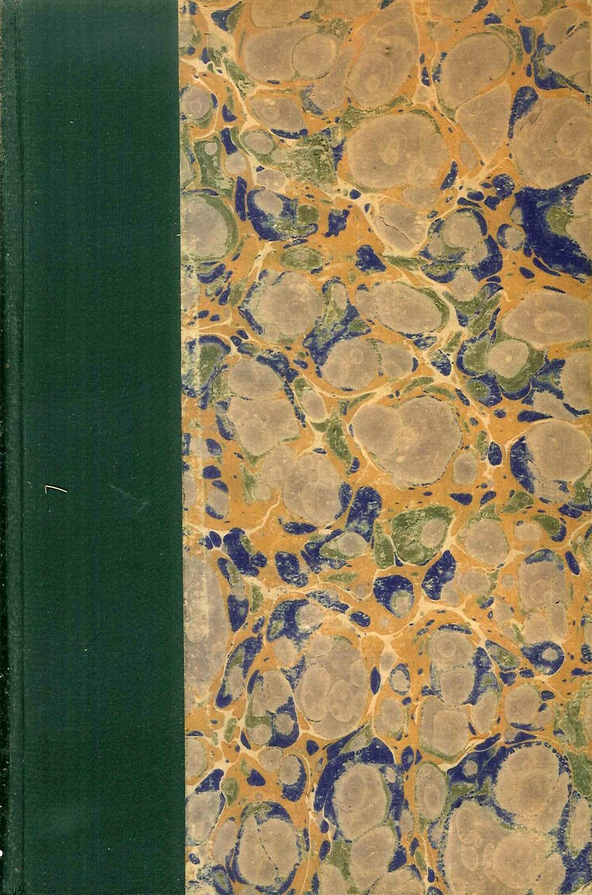 Bill il conquistatore. Romanzo umoristico Inglese