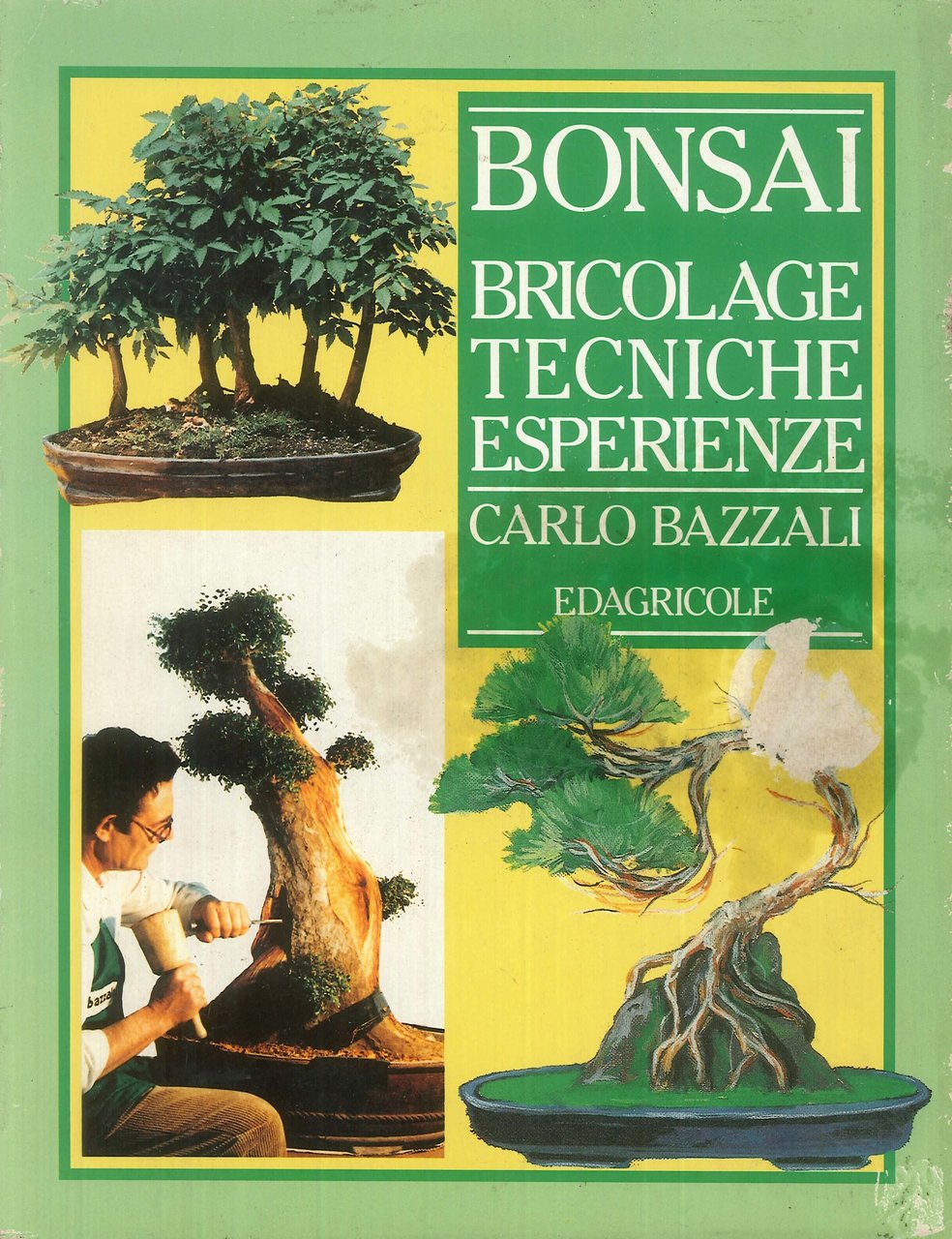 Bonsai. Bricolage, tecniche, esperienze