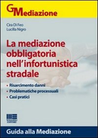 Casi pratici di mediazioni nell'infortunistica stradale | Immagine principale