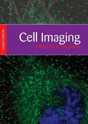 Cell Imaging | Immagine principale
