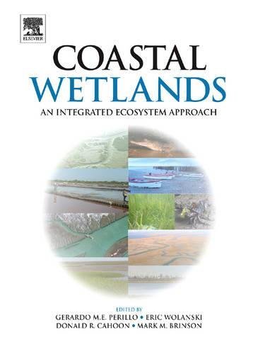Coastal Wetlands: An Integrated Ecosystem Approach | Immagine principale
