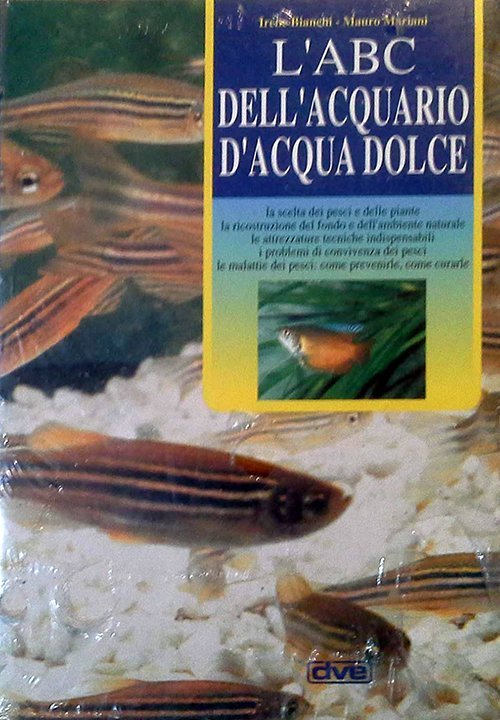 Colora il mondo intorno a te 9207