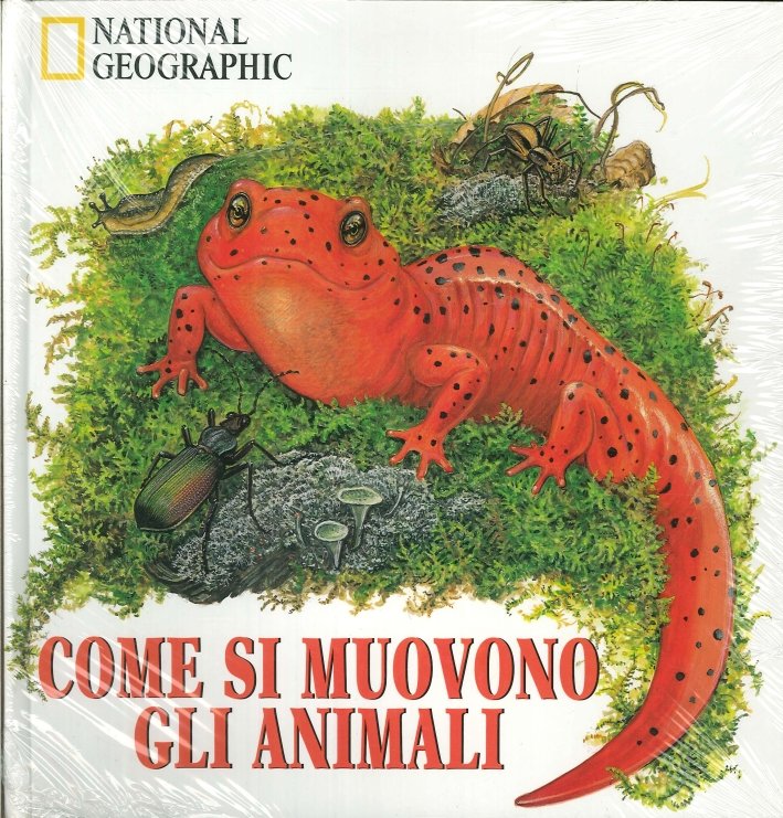 Come Si Muovono gli Animali