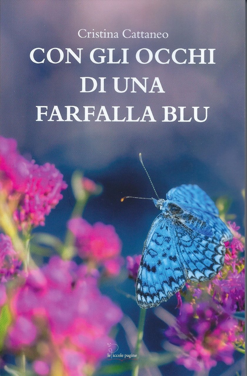 Con gli occhi di una farfalla blu | Immagine principale