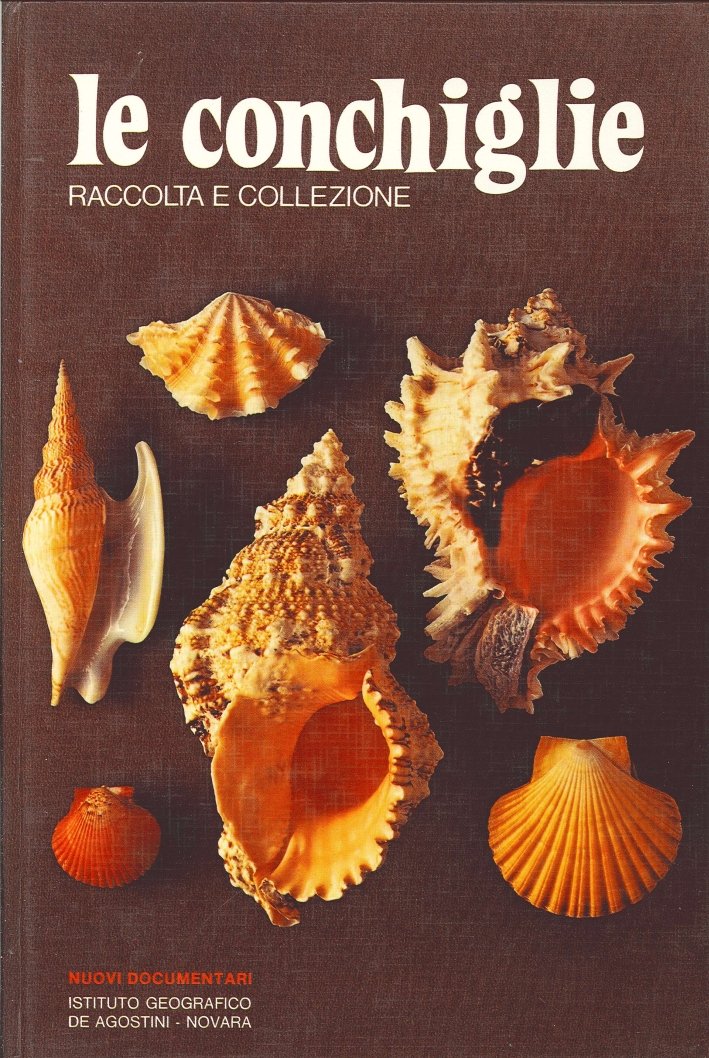 Conchiglie: Raccolta e Collezione | Immagine principale