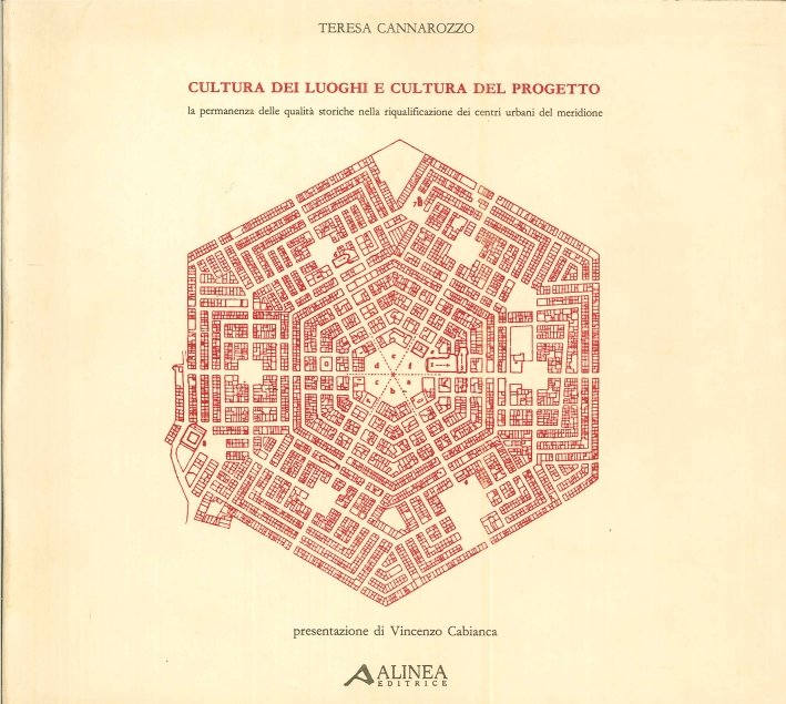 Cultura dei luoghi e cultura del progetto. La permanenza delle qualità storiche nella riqualificazione di centri urbani del meridione