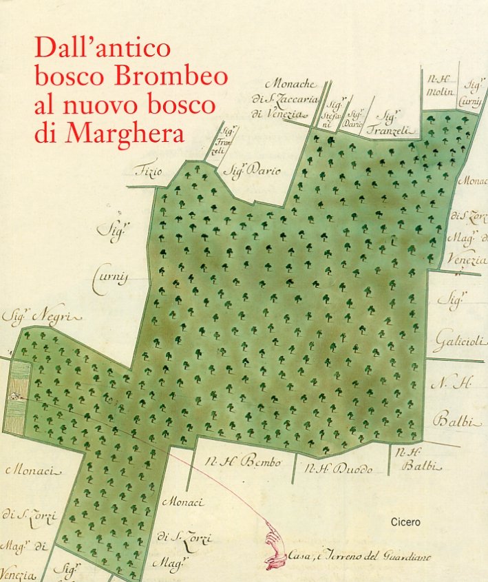 Dall'antico bosco Brombeo al nuovo bosco di Marghera